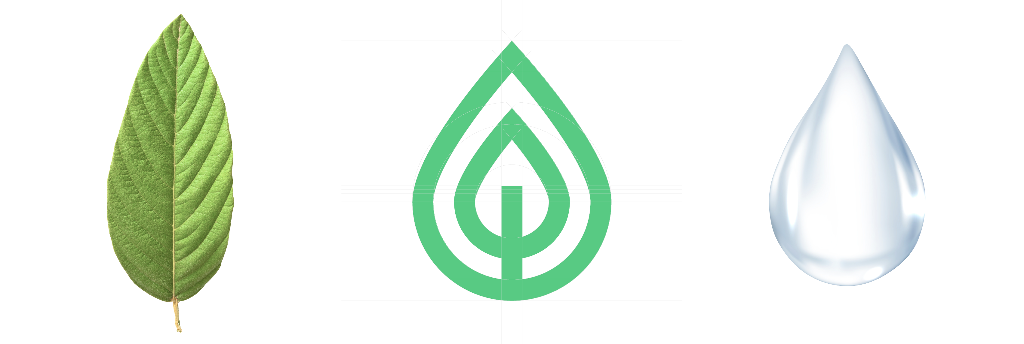 Imagen que muestra una hoja verde del lado izquierdo, en el cetro el isotipo de la empresa y del lado derecho una gota de agua. Son los elementos que inspiraron el diseño del logotipo.