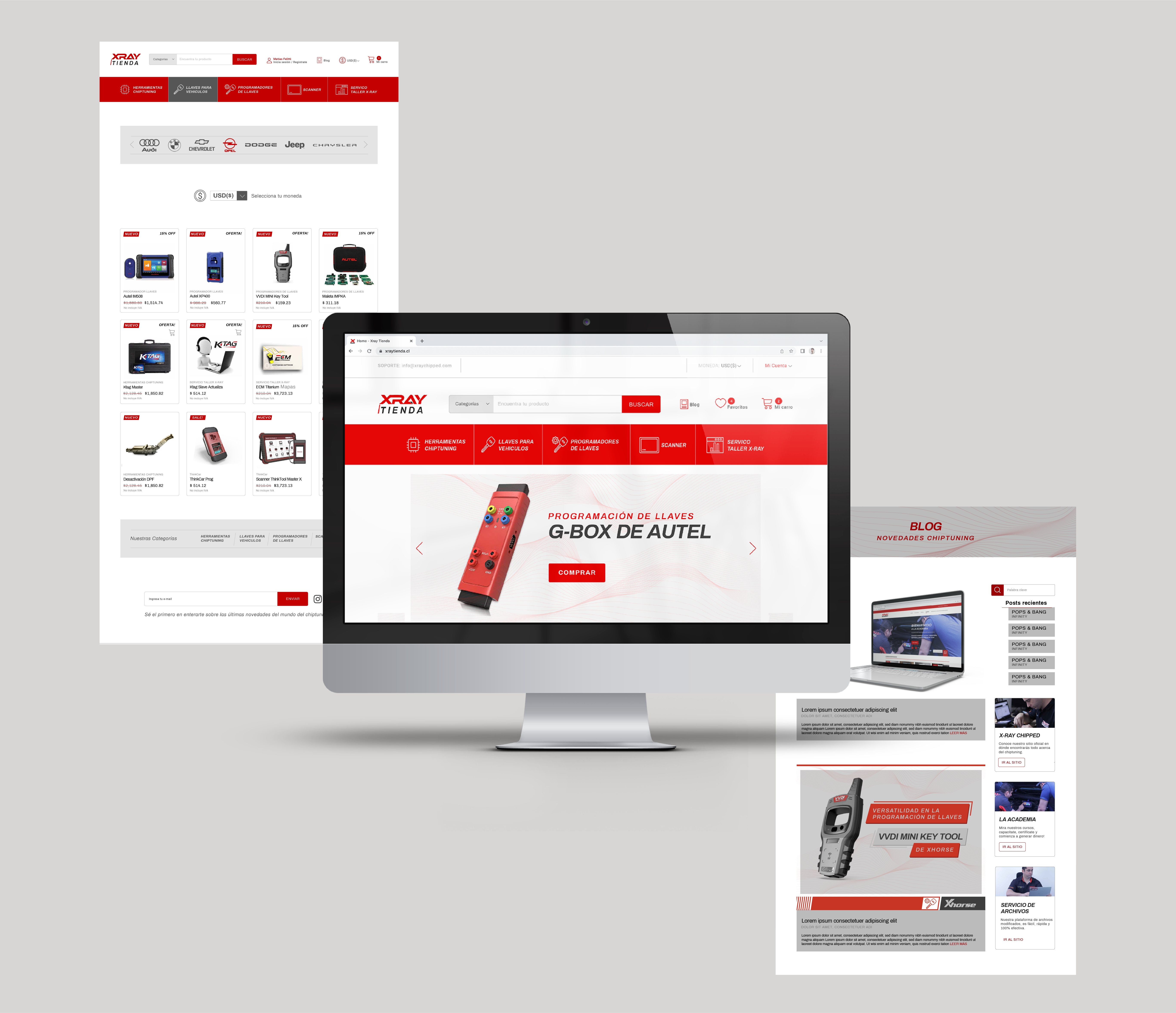 Imagen que muestra l diseño de la tienda online de la empresa.
